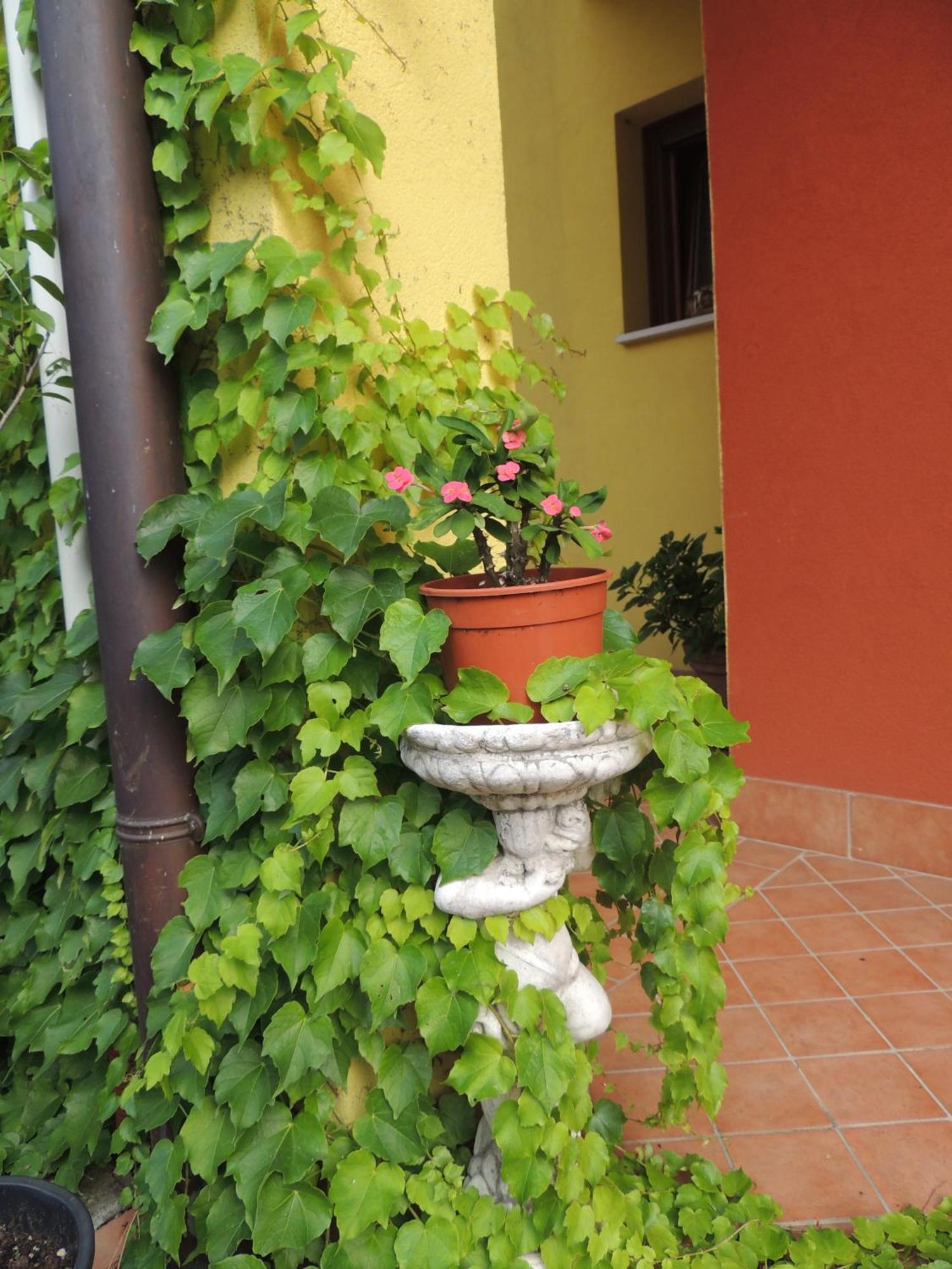 Resort Sile River Canton  Exterior foto